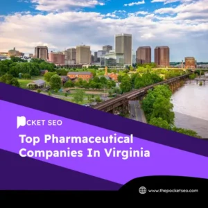 top-loan-companies-in-virginia